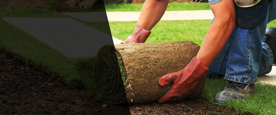 Mohegan Lake Landscapers